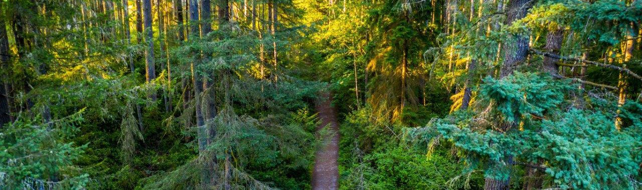 McCormick Forest Park