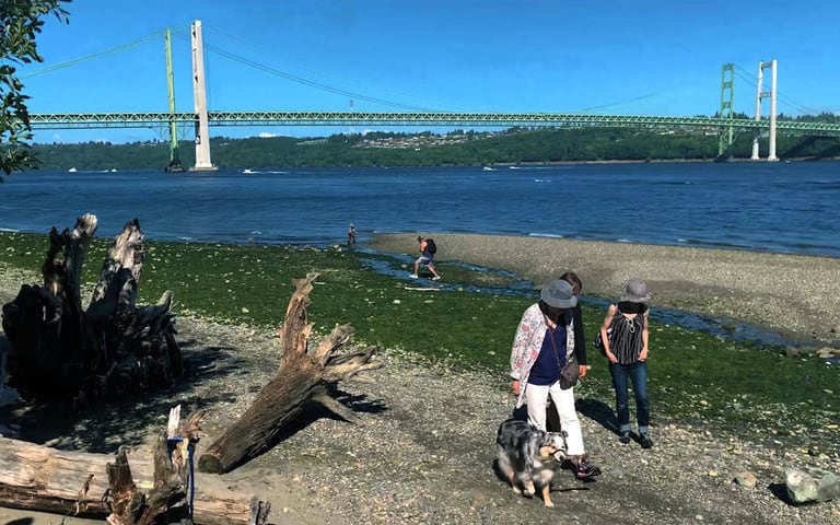 Narrows Park